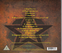 David Starfire - Bollywood bass