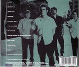 Josh Joplin Group - Useful Music