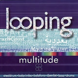 Looping - Multitude (steeldrum, balarimba, balafons, djembe, bass, drums)