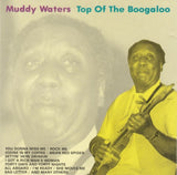 Muddy Waters - Top of the boogaloo