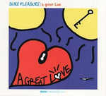 Sure Pleasure  - A Great Love